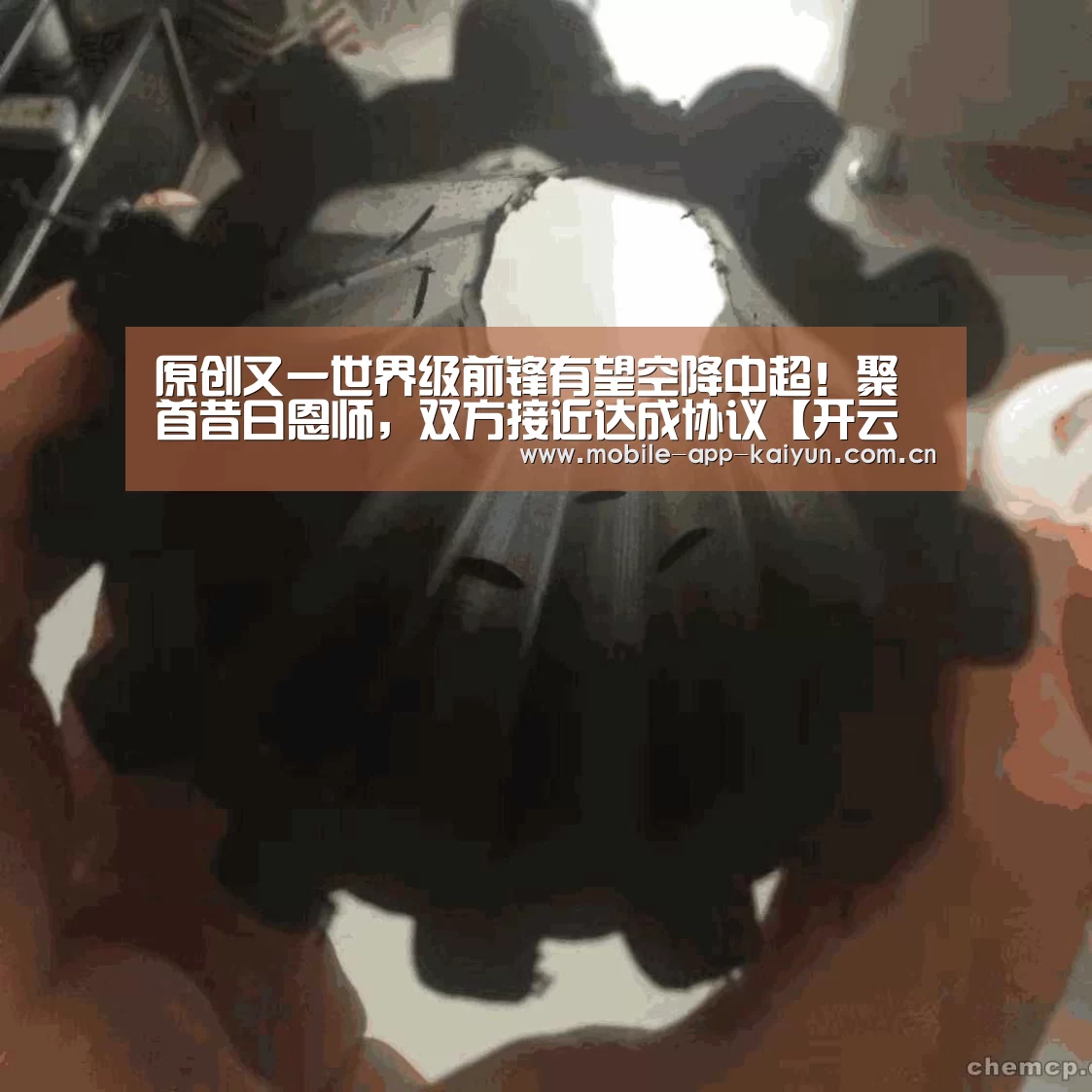 开云体育官网