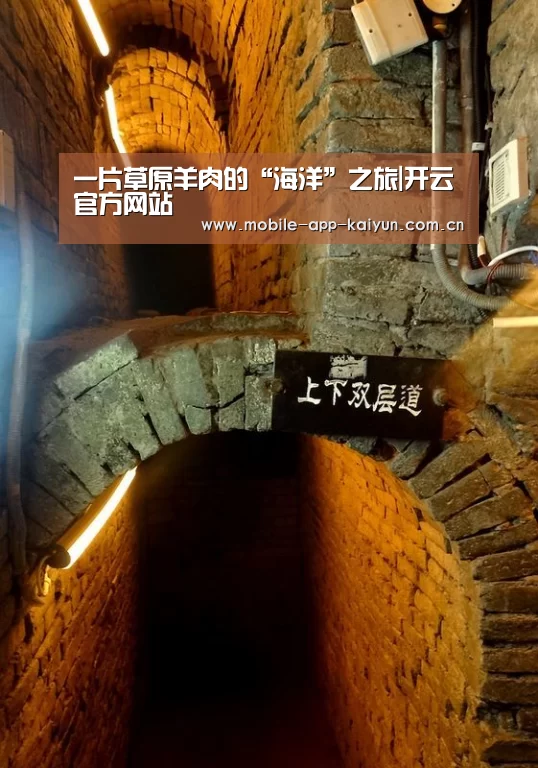 一片草原羊肉的“海洋”之旅|开云官方网站(图2) KAIYUN体育