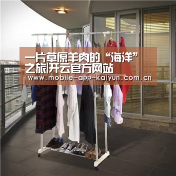 一片草原羊肉的“海洋”之旅|开云官方网站