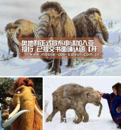 奥地利正式宣布申请加入亚投行 已提交书面确认函【开云体育官网】