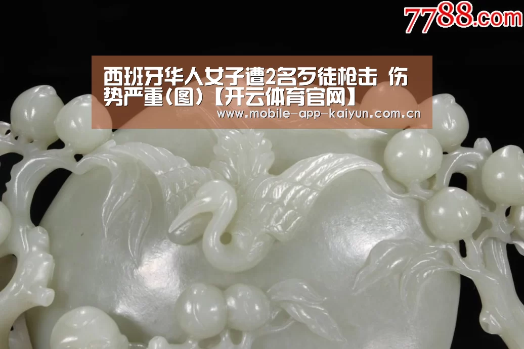西班牙华人女子遭2名歹徒枪击 伤势严重(图)【开云体育官网】