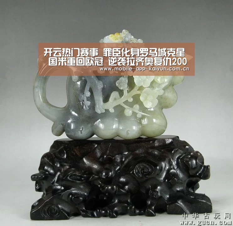 开云体育官网