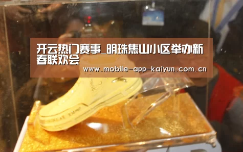 开云热门赛事_明珠焦山小区举办新春联欢会