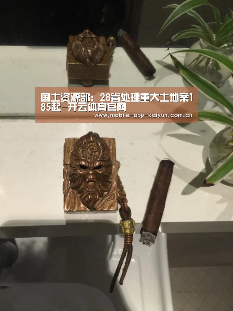 国土资源部:28省处理重大土地案185起-开云体育官网(图2) 开云赛事直播
