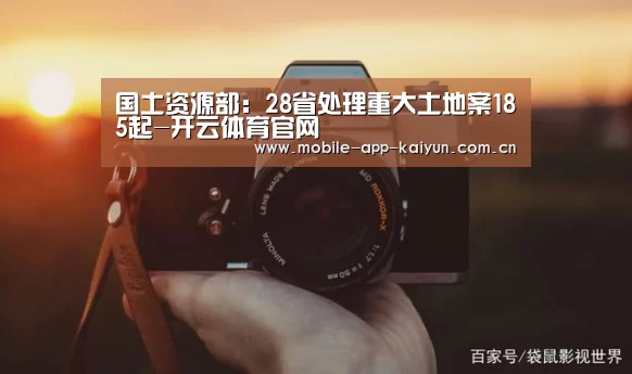 国土资源部:28省处理重大土地案185起-开云体育官网(图3) 开云热门赛事